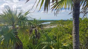 Shroud Cay: View of route through mangroves from Camp Driftwood